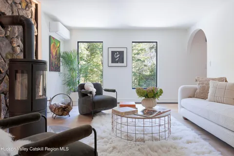 a living room with furniture and a potted plant