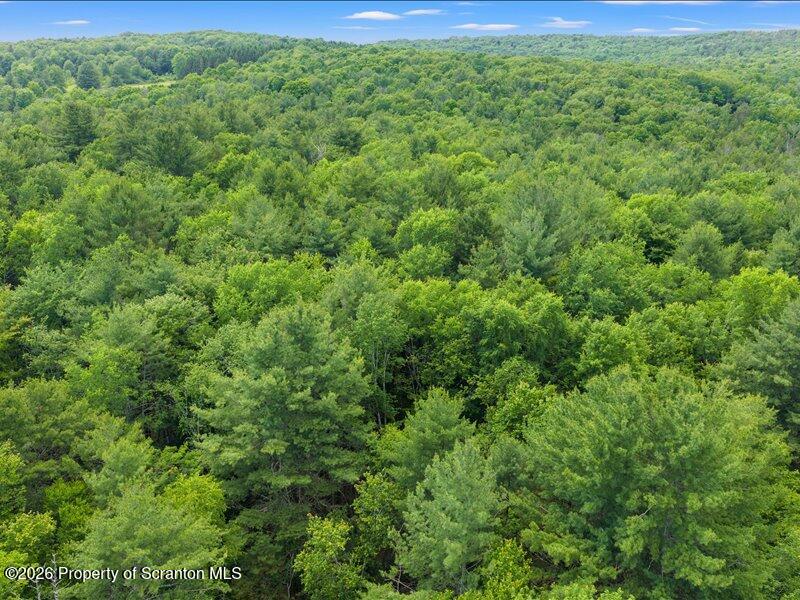 Stanley Lake Road Friendsville, PA 18818 - Photo 7 of 15 08-DJI_20260618042302_0190_D
