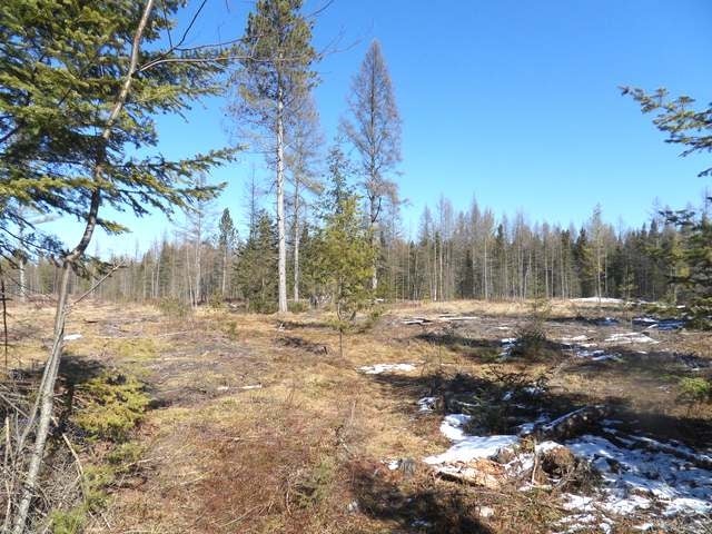 On Sun Prairie Road Rhinelander, WI 54501 - Photo 14 of 16 Gallery Image 14
