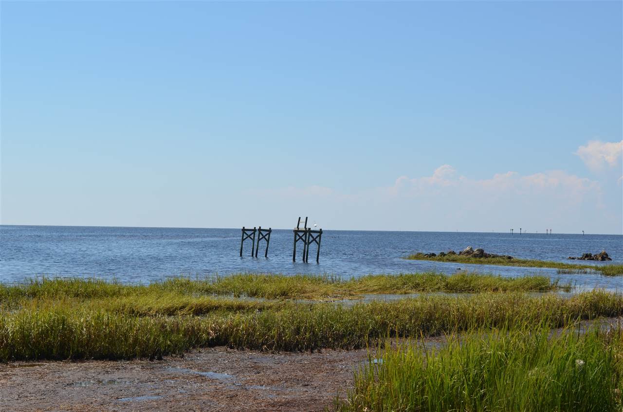 195 Cedar Island Road Perry, FL 32348 - Photo 12 of 28 Gallery Image 12