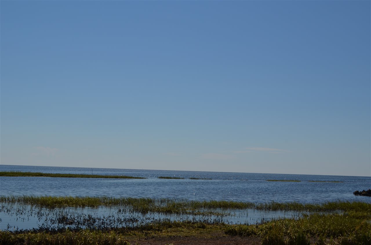 195 Cedar Island Road Perry, FL 32348 - Photo 15 of 28 Gallery Image 15