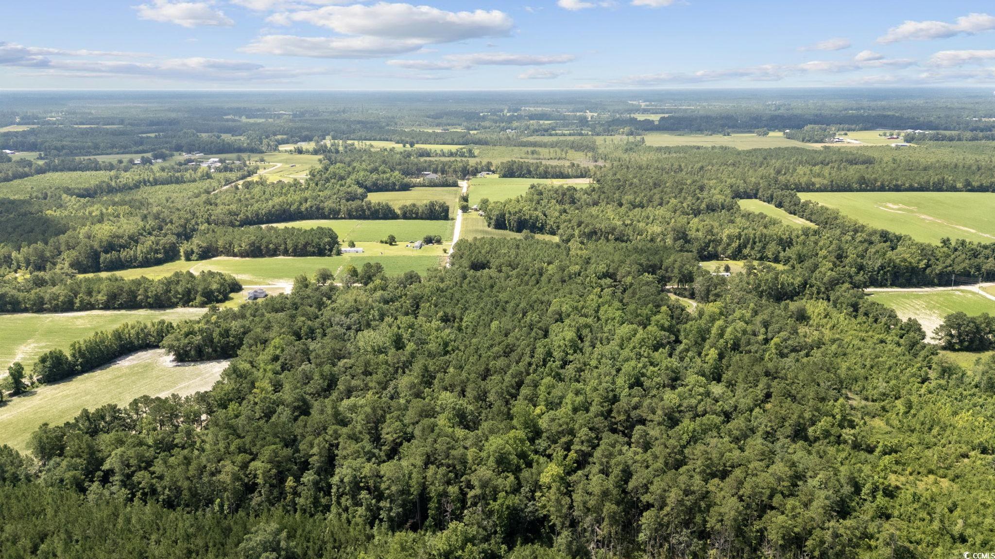 Tbd Plainfield Road Galivants Ferry, SC 29544 - Photo 11 of 15