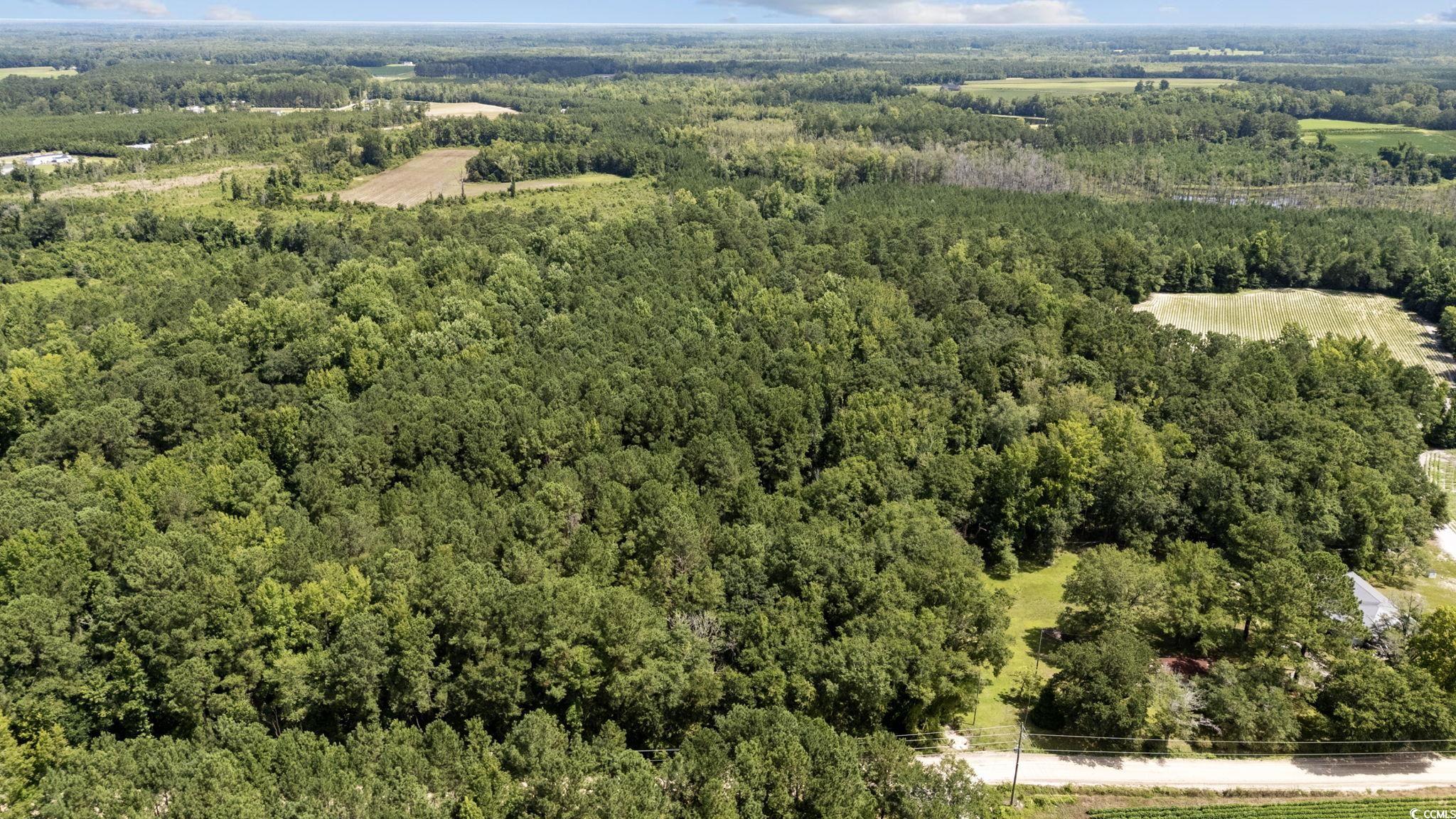 Tbd Plainfield Road Galivants Ferry, SC 29544 - Photo 12 of 15
