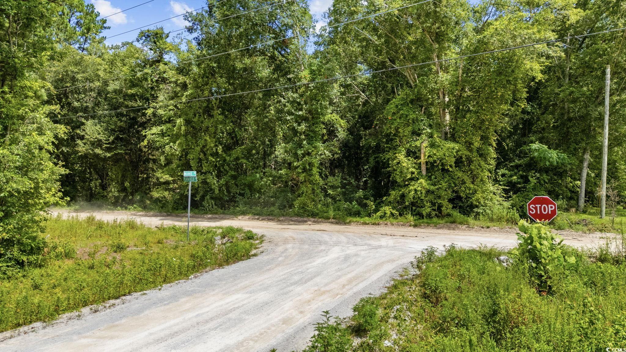 Tbd Plainfield Road Galivants Ferry, SC 29544 - Photo 13 of 15