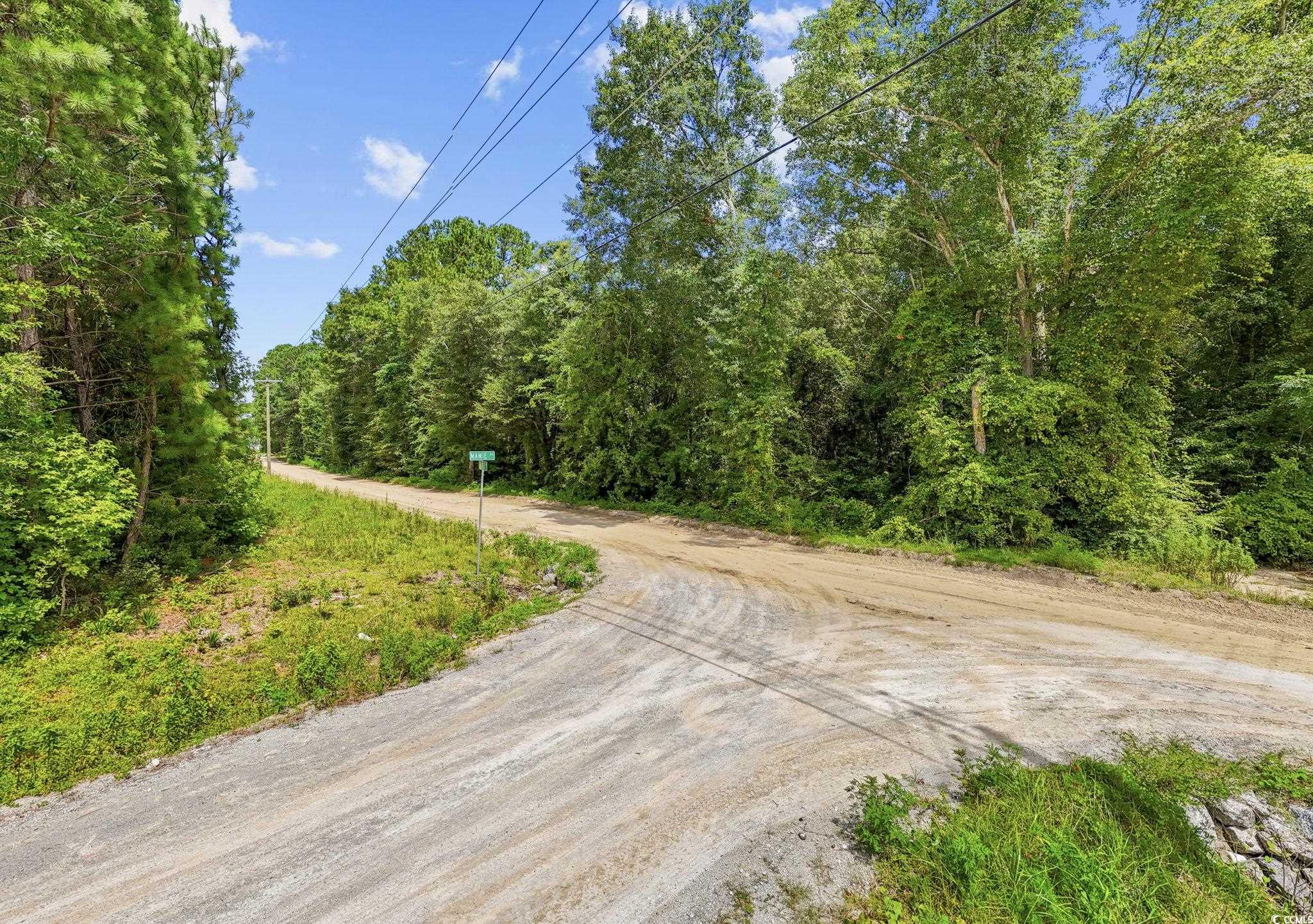 Tbd Plainfield Road Galivants Ferry, SC 29544 - Photo 15 of 15