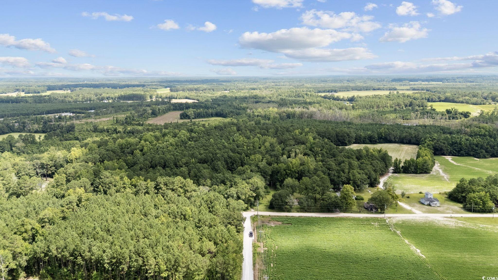 Tbd Plainfield Road Galivants Ferry, SC 29544 - Photo 2 of 15