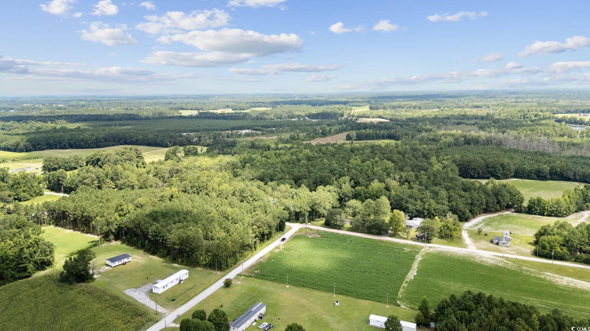 Tbd Plainfield Road Galivants Ferry, SC 29544 - Photo 3 of 15