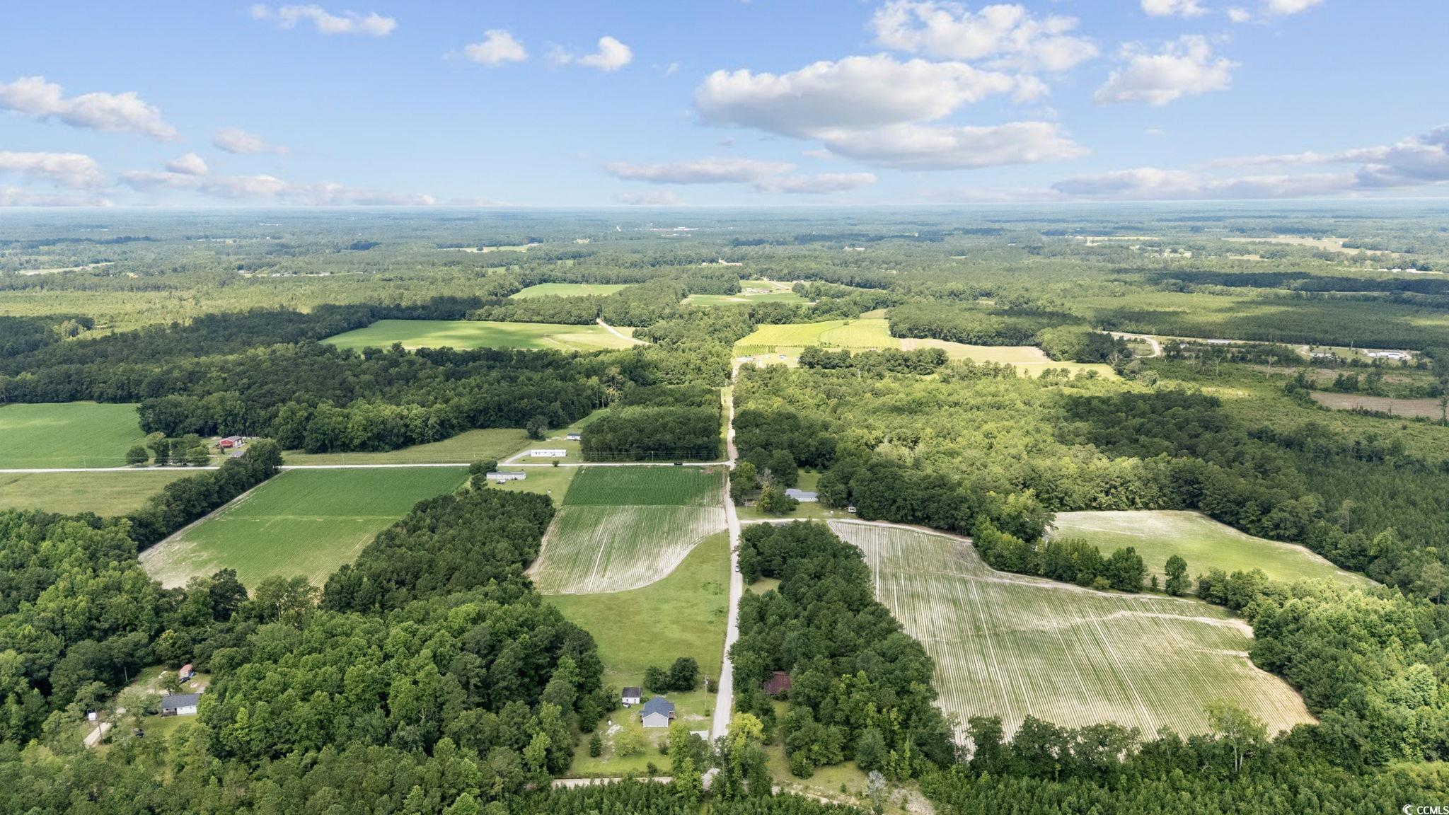 Tbd Plainfield Road Galivants Ferry, SC 29544 - Photo 4 of 15