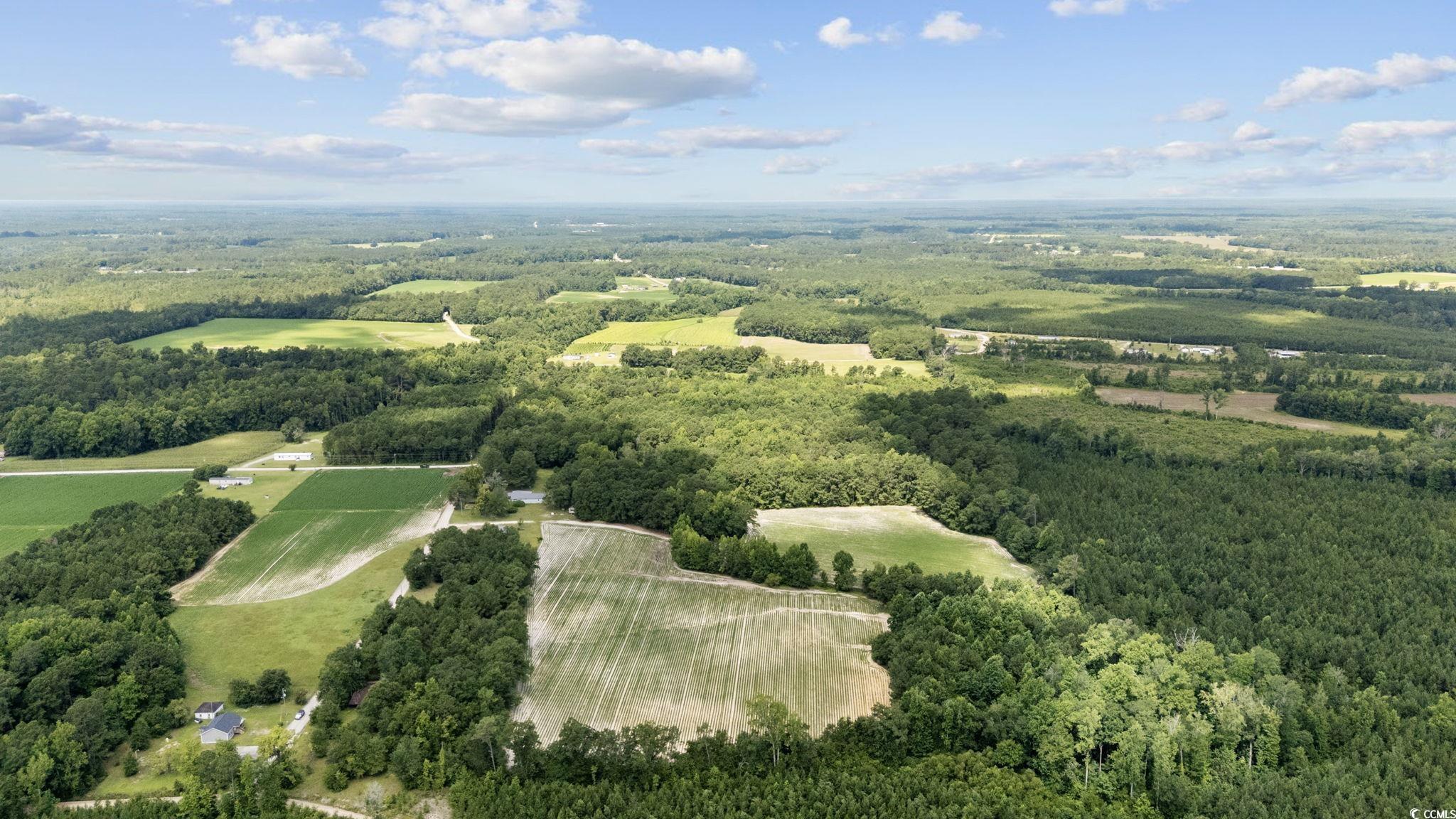 Tbd Plainfield Road Galivants Ferry, SC 29544 - Photo 5 of 15