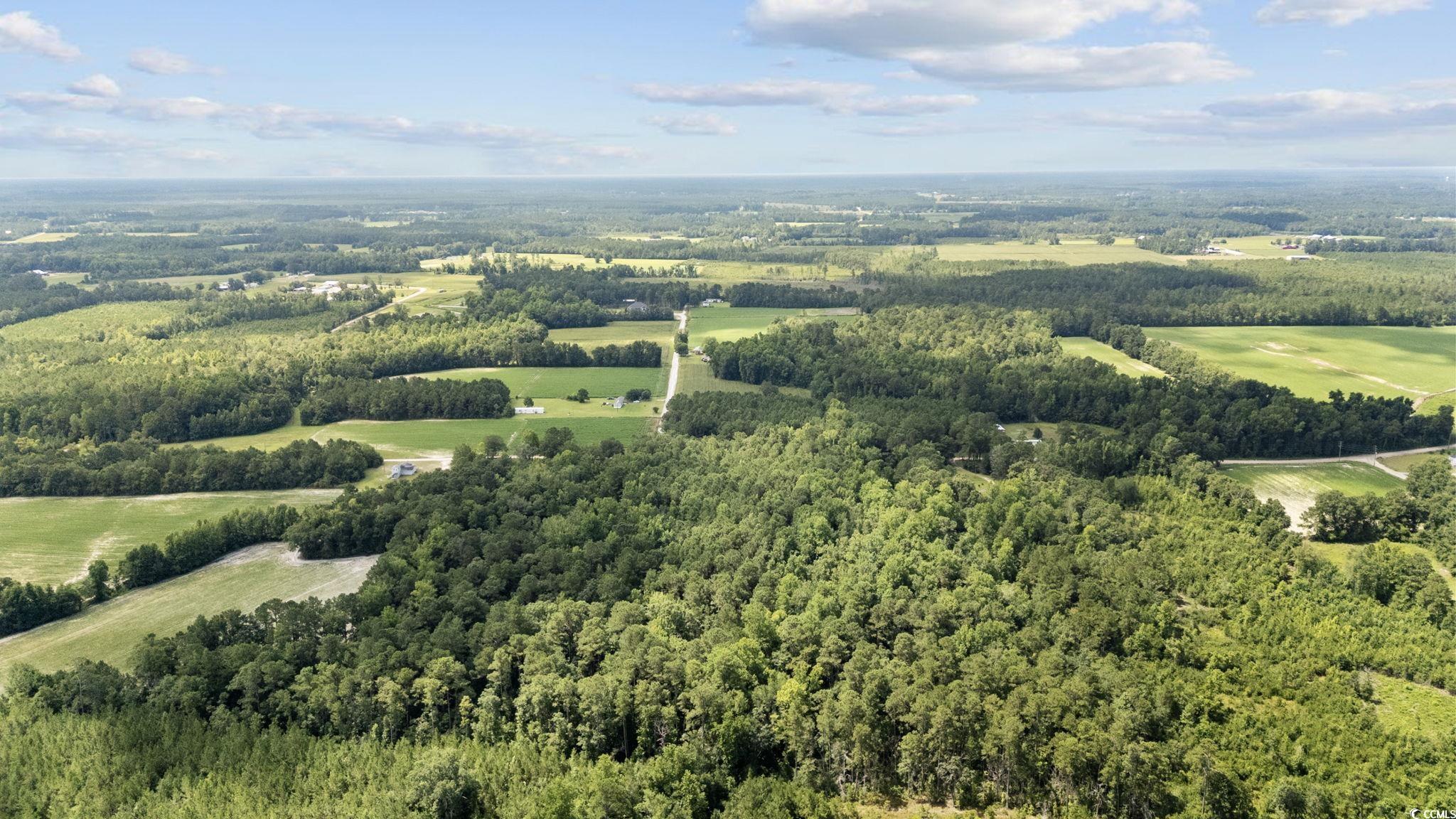 Tbd Plainfield Road Galivants Ferry, SC 29544 - Photo 7 of 15