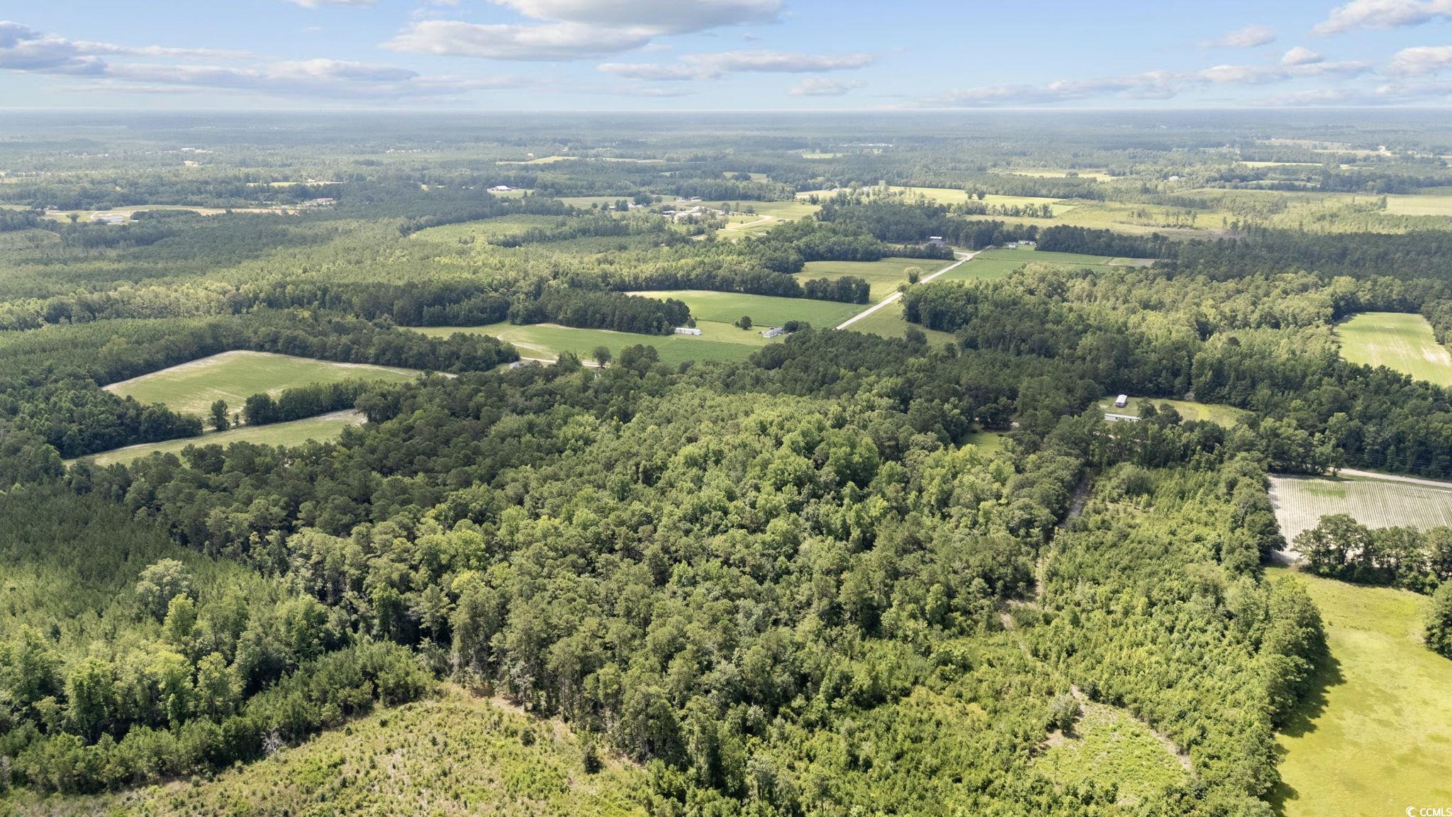 Tbd Plainfield Road Galivants Ferry, SC 29544 - Photo 8 of 15