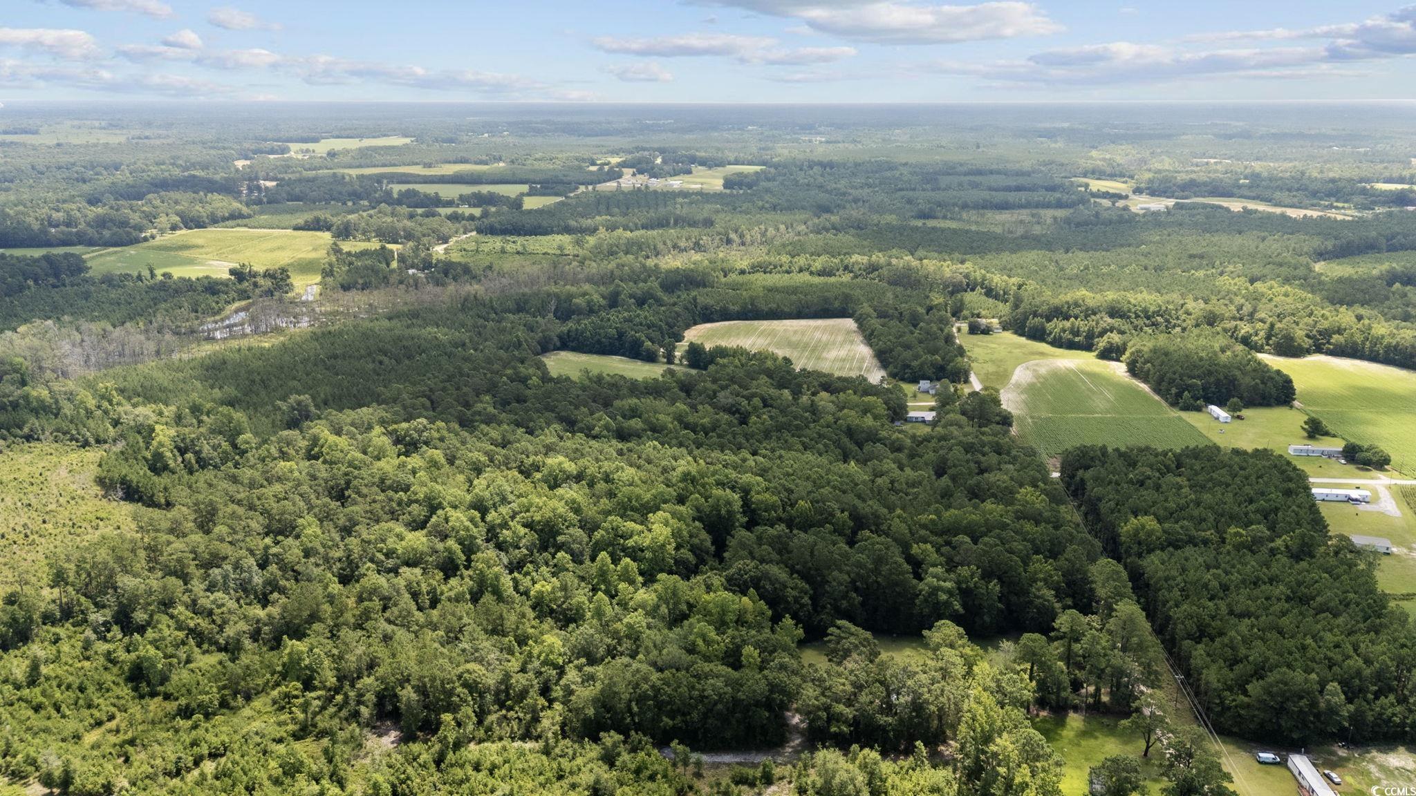 Tbd Plainfield Road Galivants Ferry, SC 29544 - Photo 9 of 15