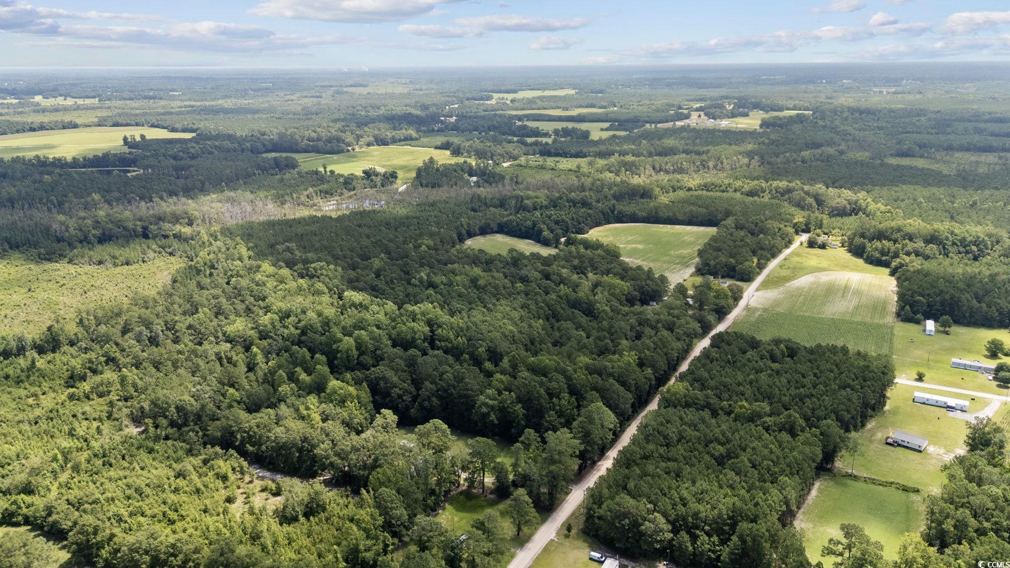 Tbd Plainfield Road Galivants Ferry, SC 29544 - Photo 10 of 15