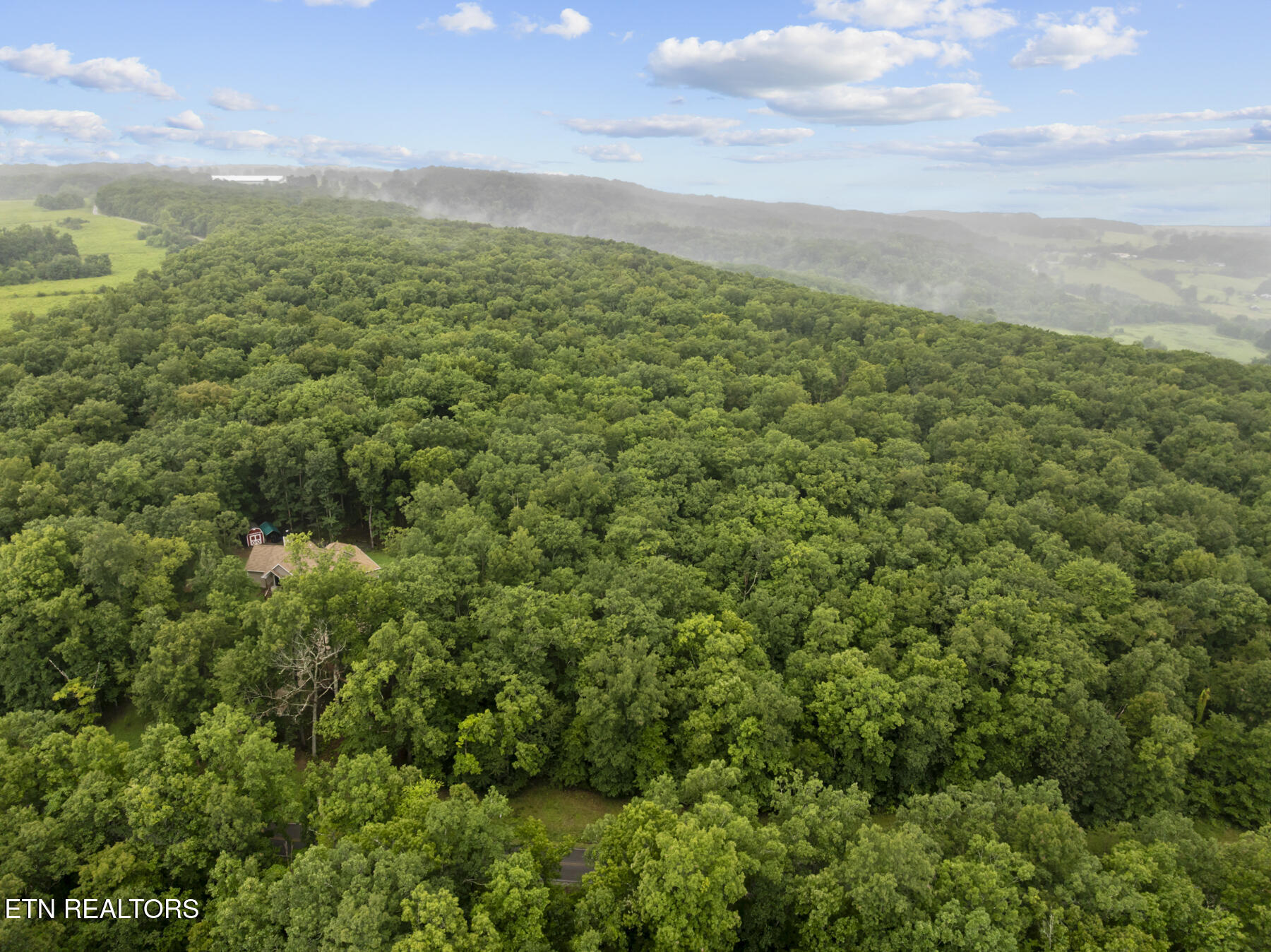 2.06-ac Simmons Road Pikeville, TN 37367 - Photo 14 of 26 DJI_20260803135558_0639_D