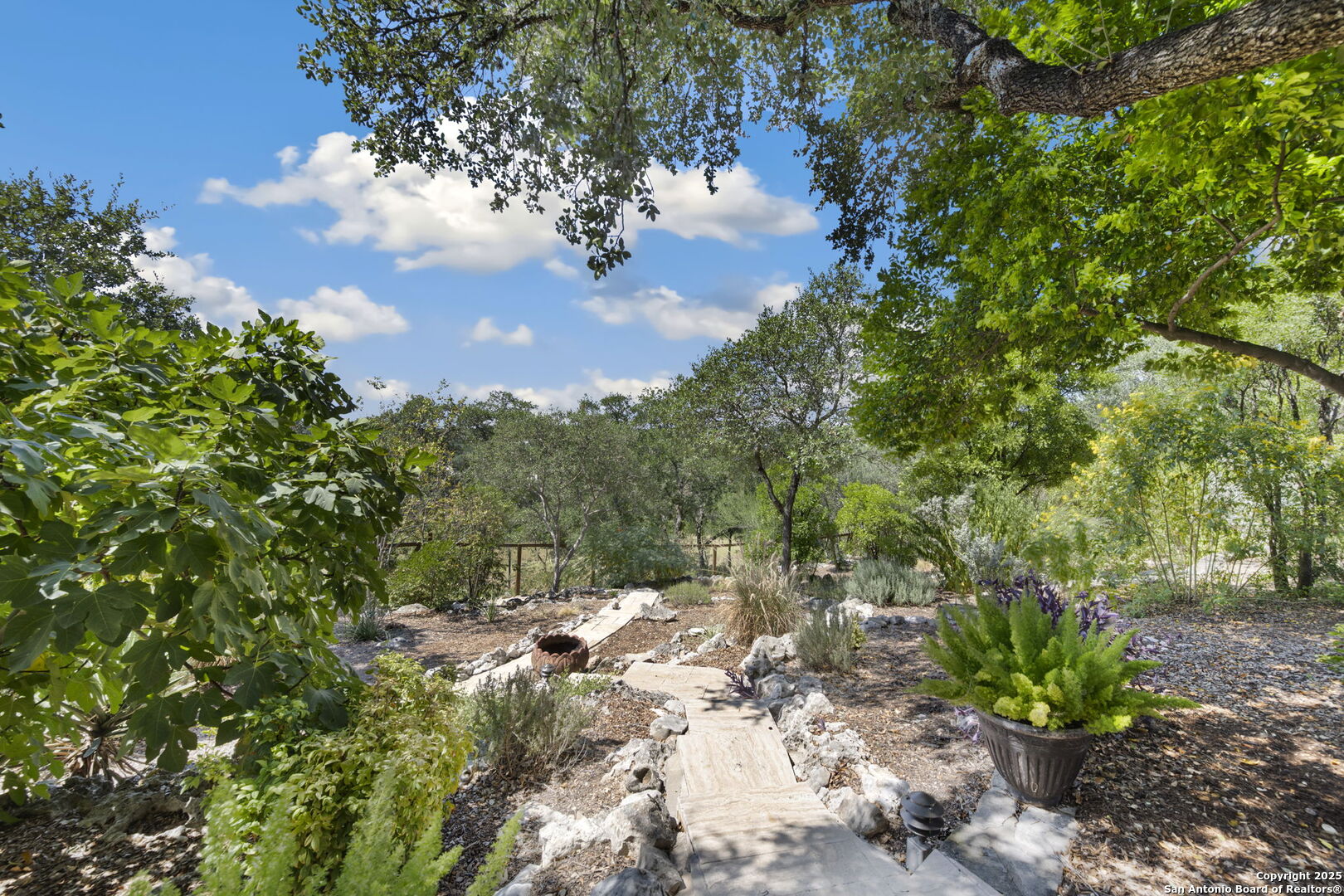 14819 Seven L Trail Helotes, TX 78023 - Photo 51 of 61 a view of a yard with a tree
