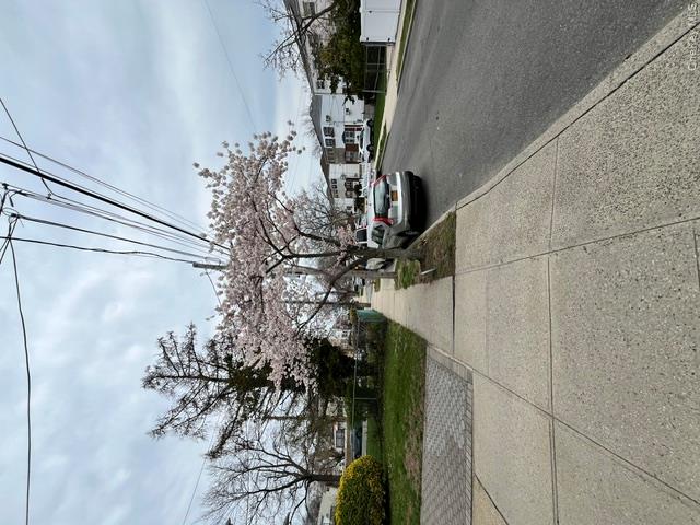 245-09 148th Road, Unit 2 Queens, NY 11422 - Photo 2 of 15