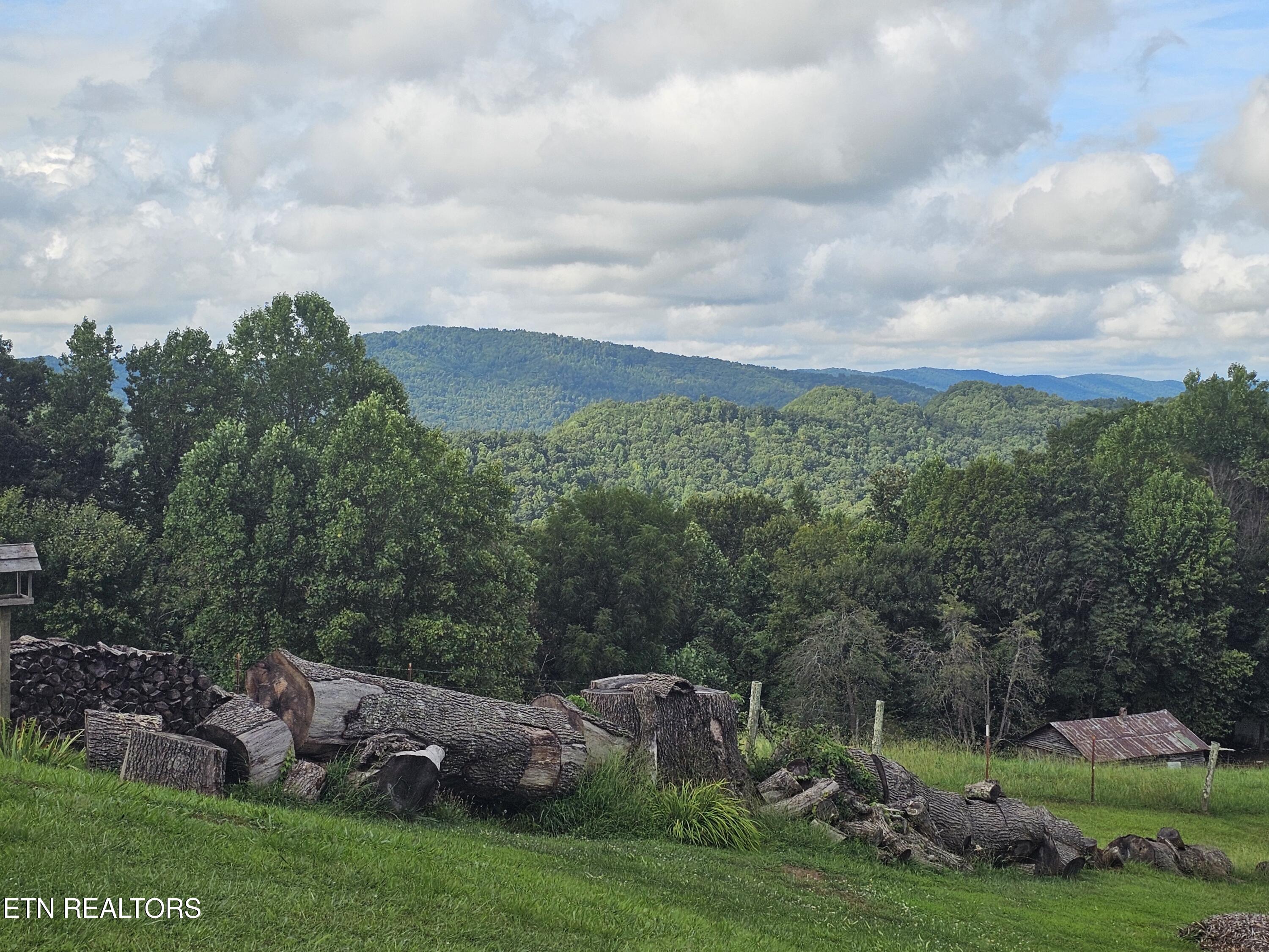 950 Raven Hill Road Tazewell, TN 37879 - Photo 21 of 22 20250813_170802