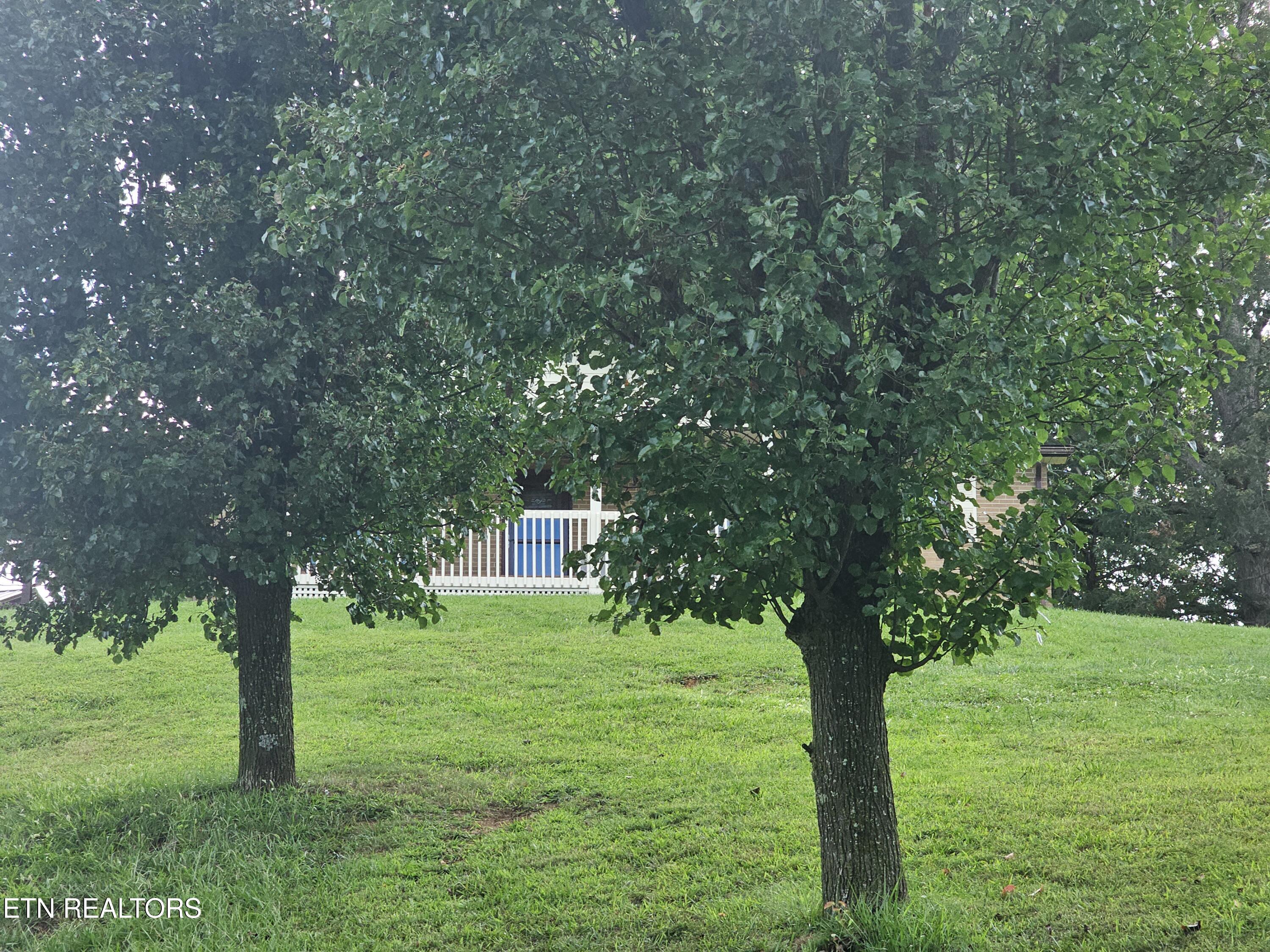 950 Raven Hill Road Tazewell, TN 37879 - Photo 22 of 22 20250813_173629