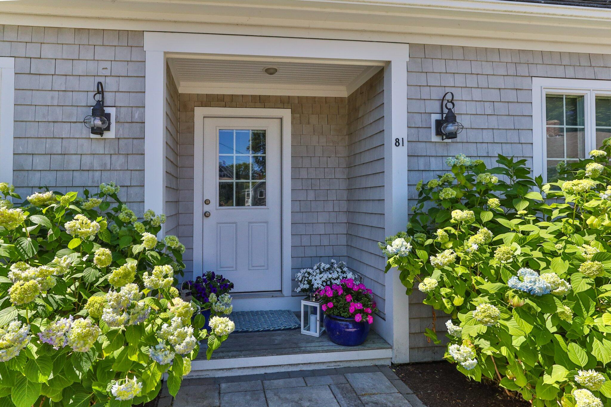 81 Mill Pond Road Chatham, MA 02633 - Photo 37 of 59 a view of a potted plant of a house