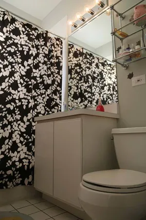 $2,800 | 545 West Eugenie Street, Unit 3, Chicago, IL 60614