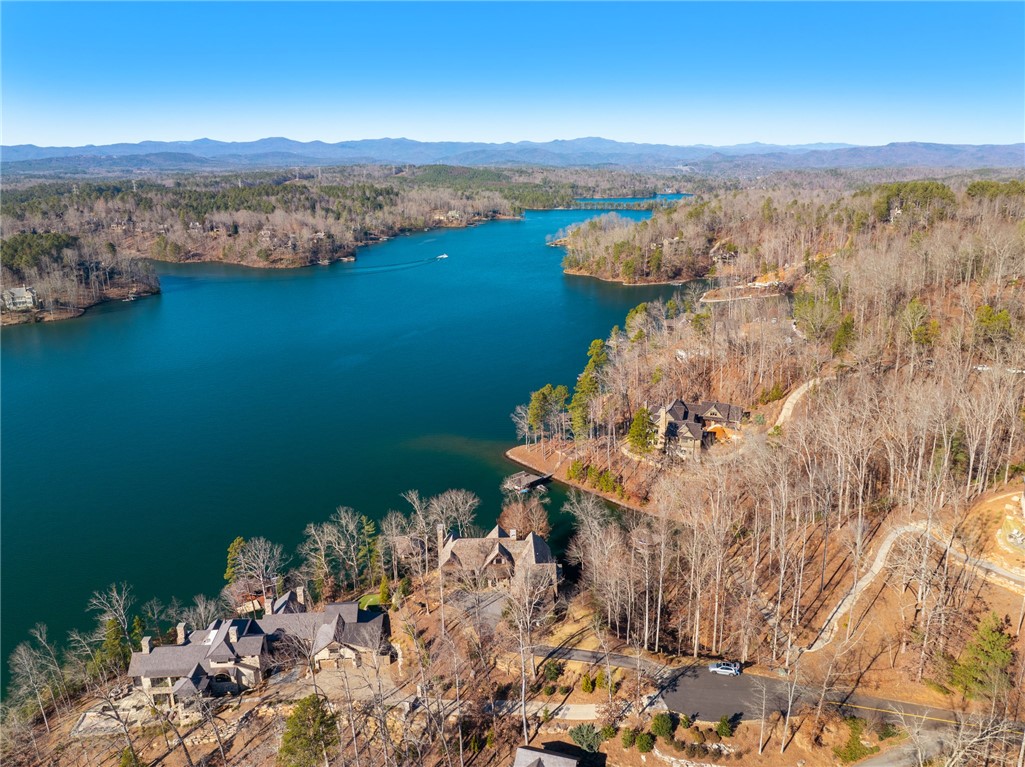 108 Cool Water Court Sunset, SC 29685 - Photo 39 of 48