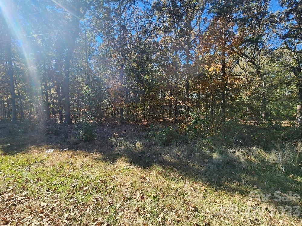 0 Wade Rorie Road Wingate, NC 28174 - Photo 1 of 1 a view of a yard