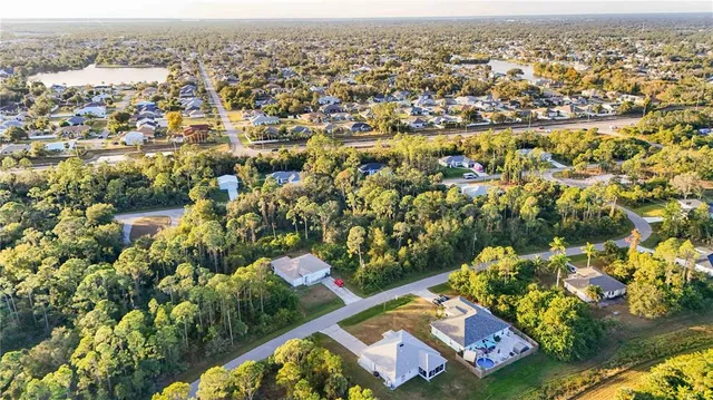 a picture of a tree in a yard