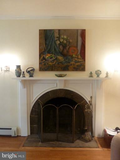 217 Upnor Road Baltimore, MD 21212 - Photo 7 of 30 Fireplace wood burning