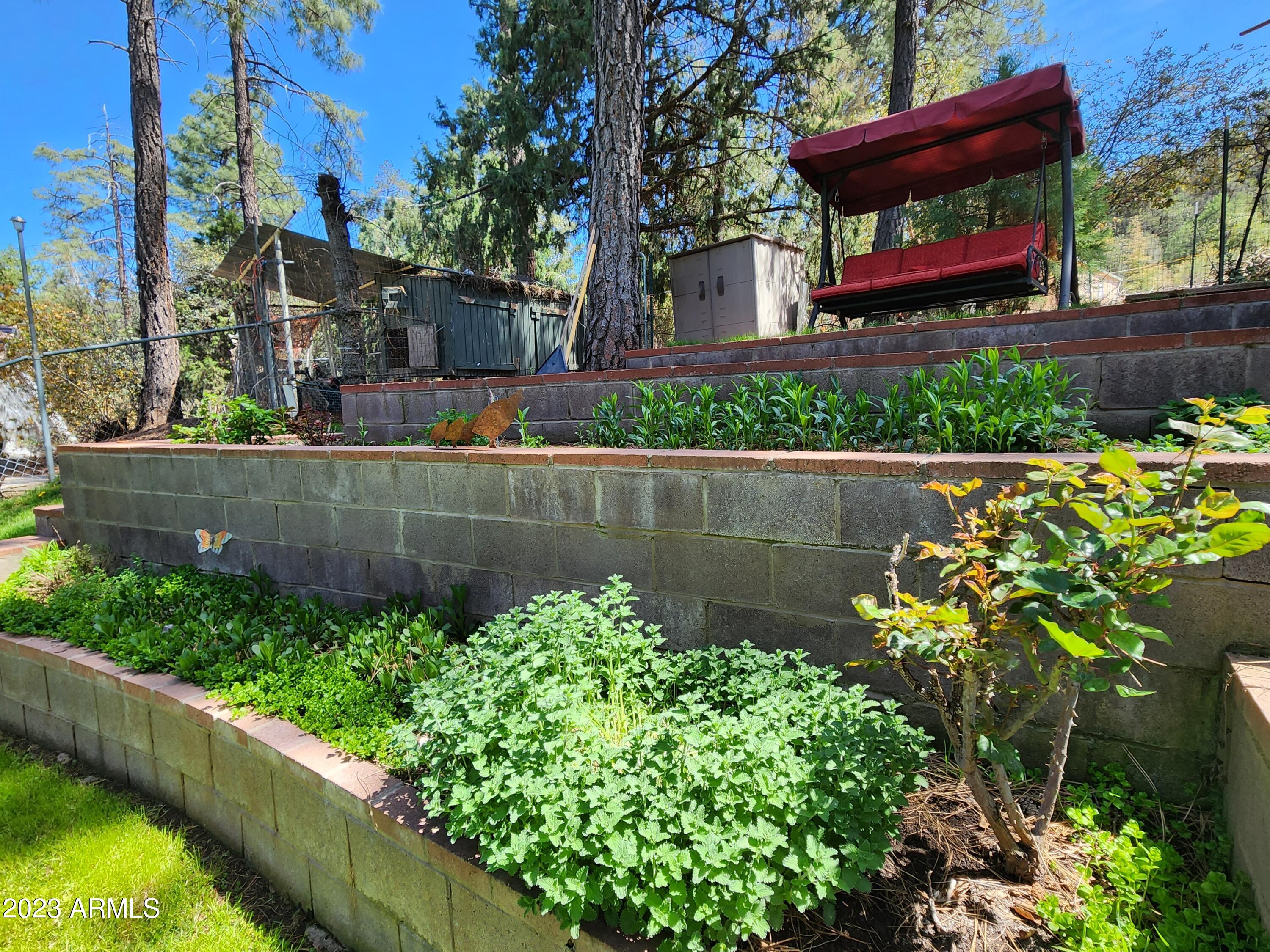 810 North Briarwood Road Payson, AZ 85541 - Photo 51 of 53 Garden plots producing