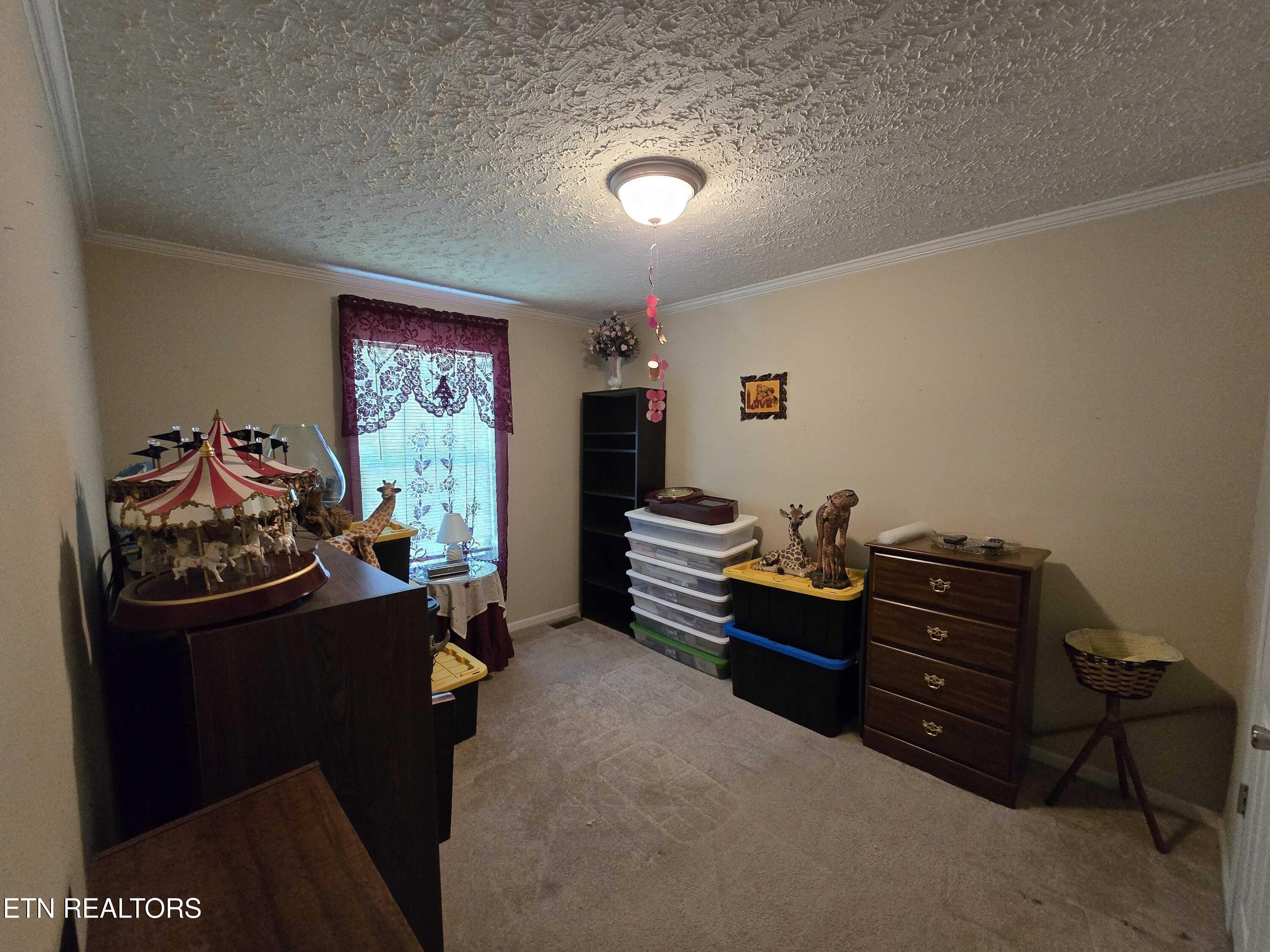 1338 Central Point Road Rutledge, TN 37861 - Photo 15 of 17 15