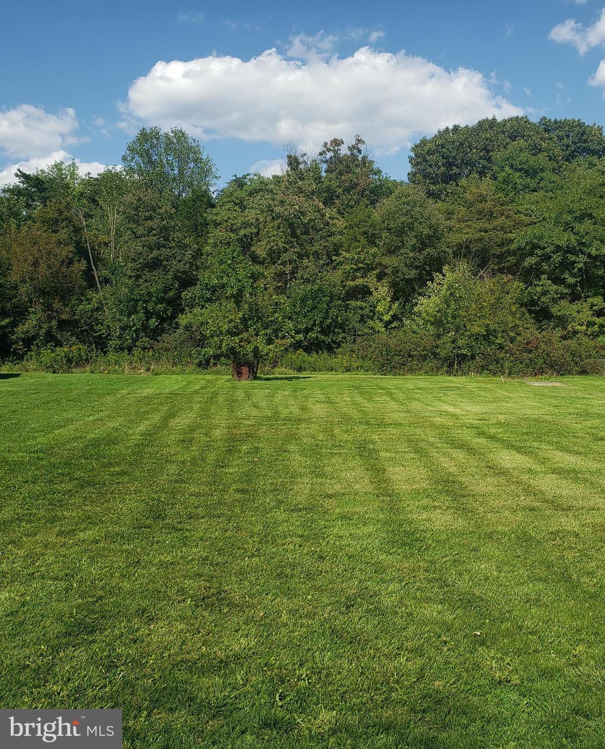 482 Apple Valley Road Winchester, VA 22602 - Photo 2 of 6 Large, level rear yard