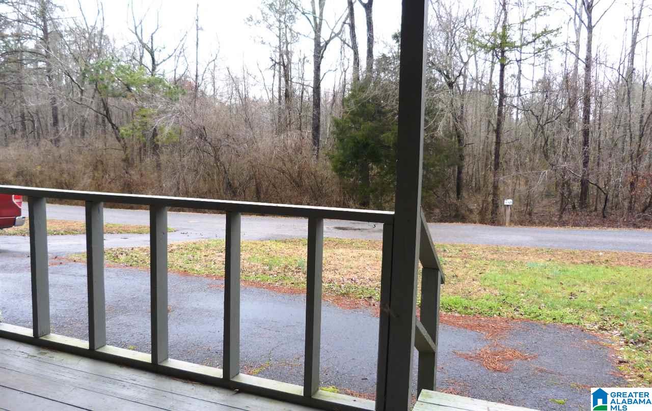 1100 McCollum Road Lineville, AL 36266 - Photo 3 of 16