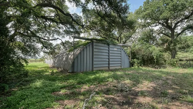 a backyard of a house with lots of plants and large tree