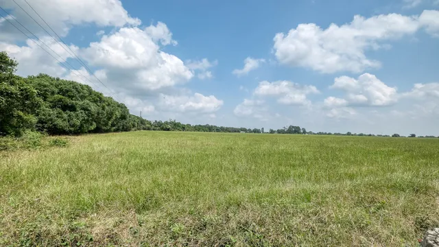 a view of a lake and yard with trees