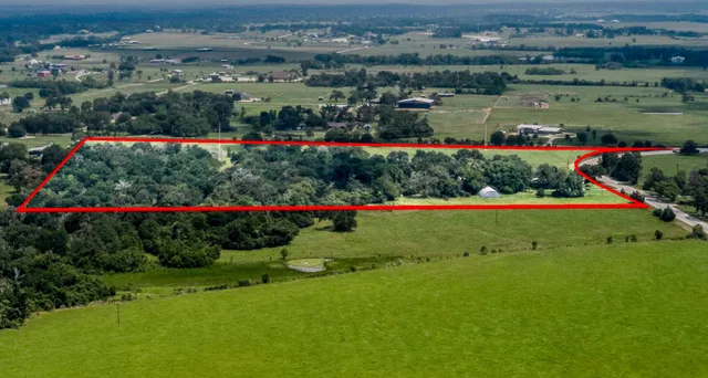 a view of a garden with flowers and trees
