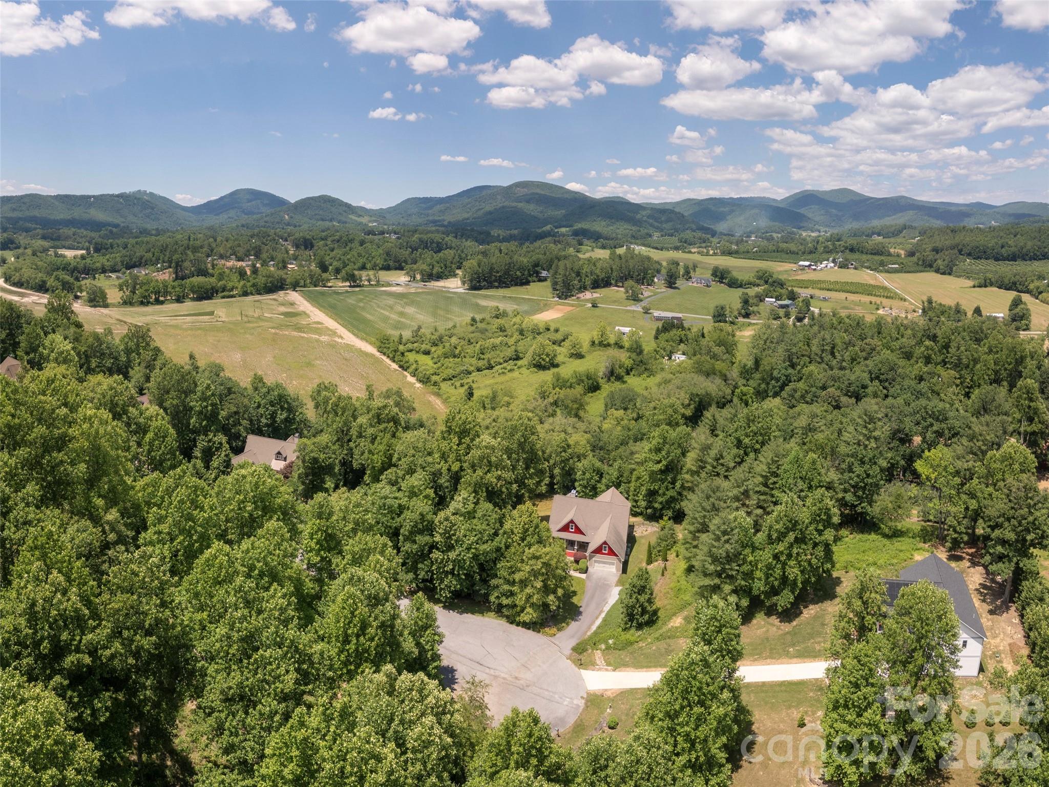 167 Tatham Road Hendersonville, NC 28792 - Photo 48 of 48