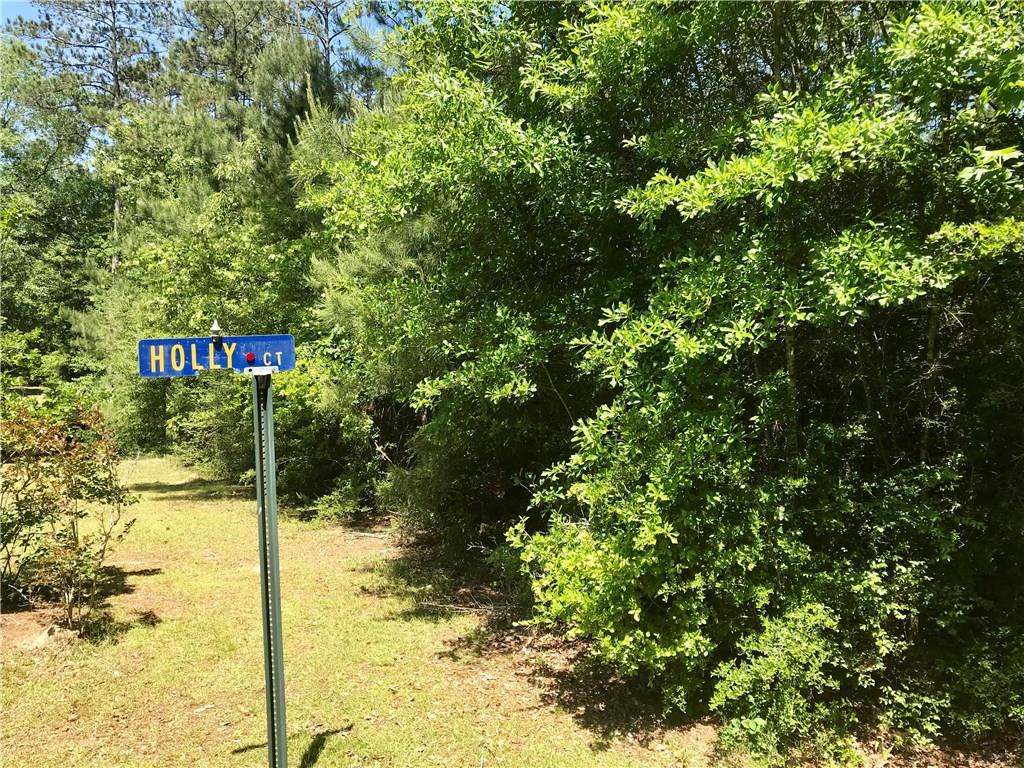 0 Holly Road Franklinton, LA 70438 - Photo 1 of 5 Gallery Image 1