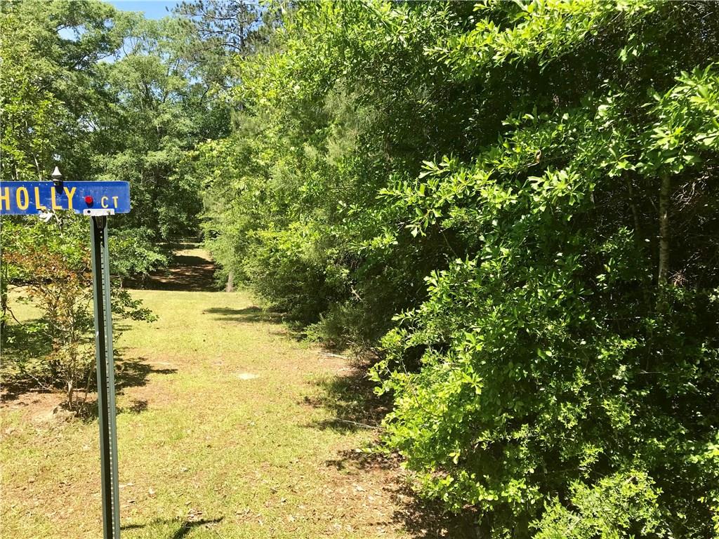 0 Holly Road Franklinton, LA 70438 - Photo 2 of 5 Gallery Image 2