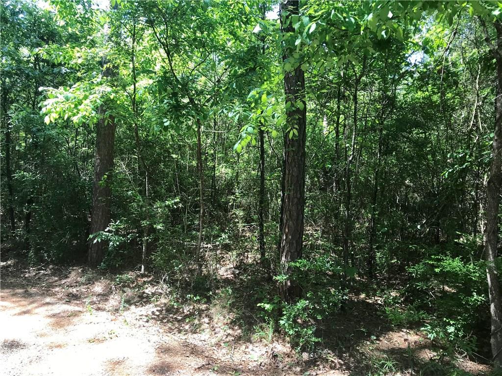 0 Holly Road Franklinton, LA 70438 - Photo 4 of 5 Gallery Image 4