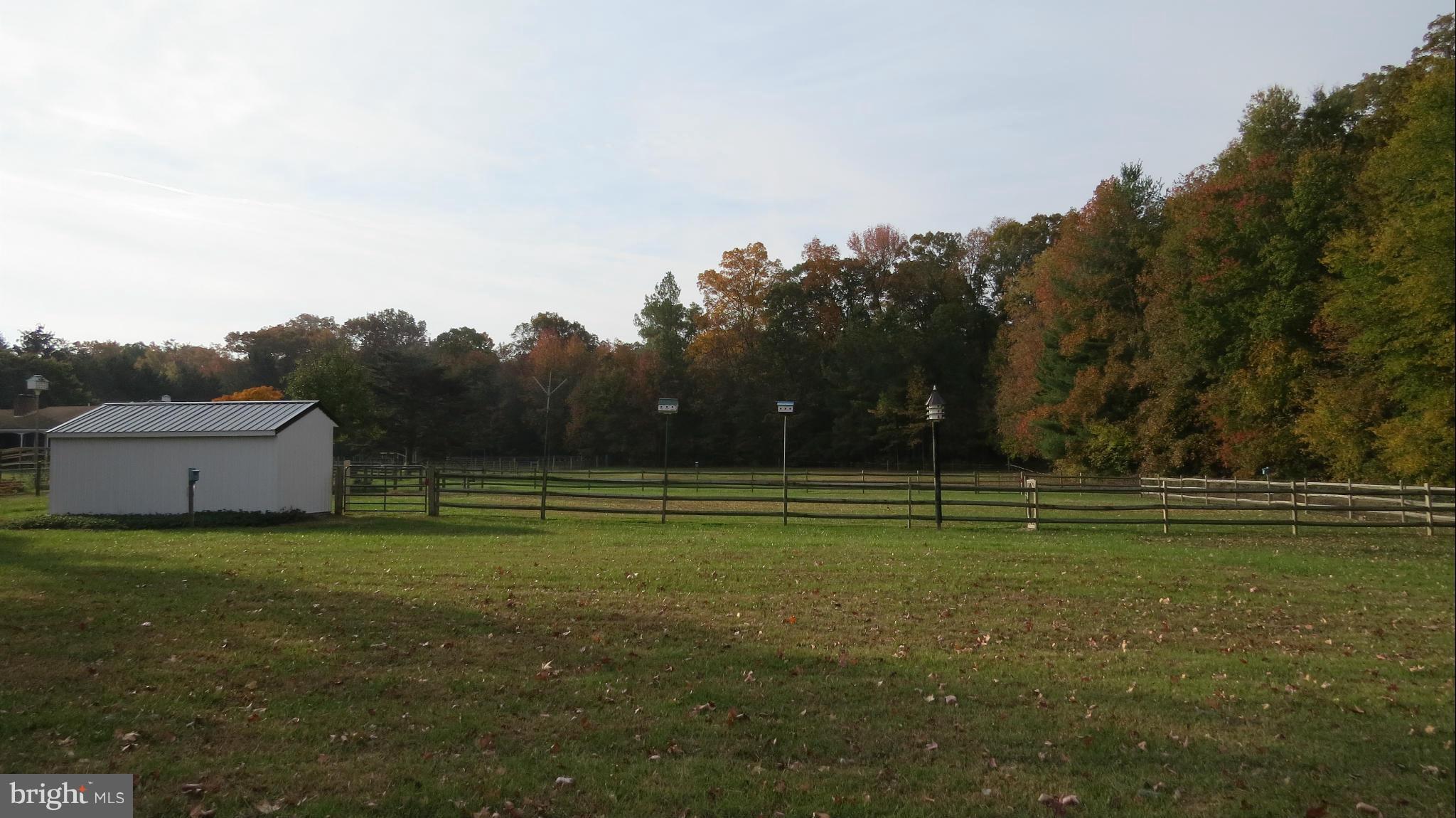 2502 McGinnes Road Chestertown, MD 21620 - Photo 4 of 21 Exterior (General)