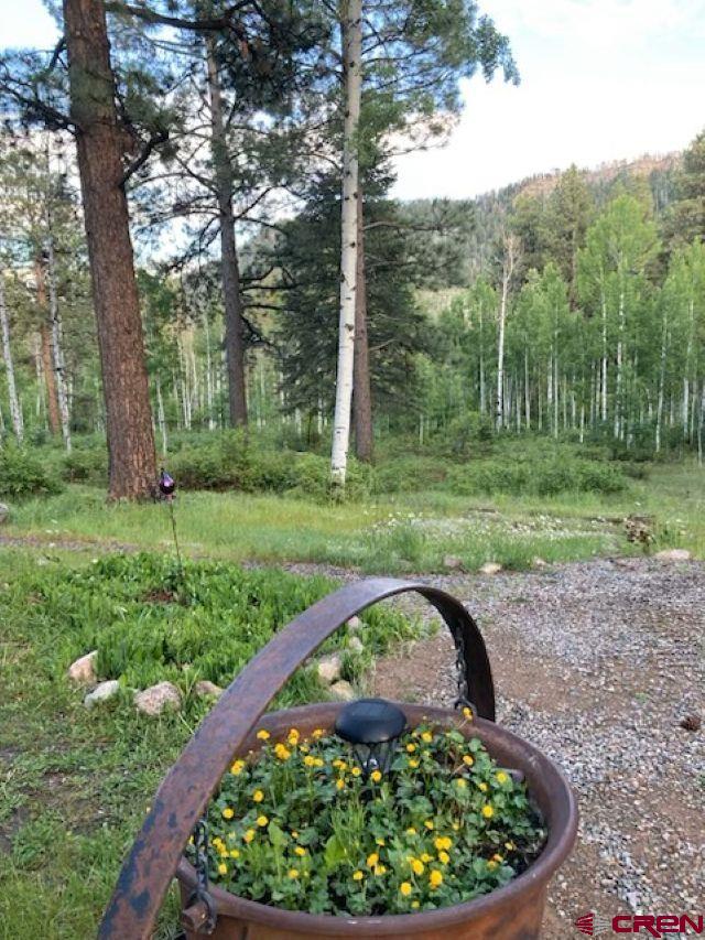 520 Los Ranchitos Drive Durango, CO 81301 - Photo 29 of 36 a view of a garden with large trees