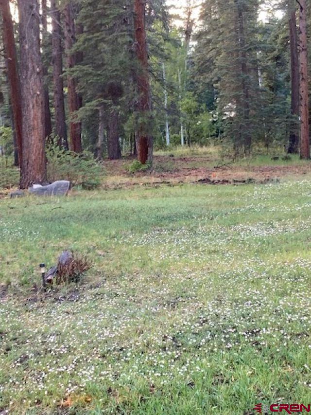 520 Los Ranchitos Drive Durango, CO 81301 - Photo 32 of 36 a view of a backyard with plants and large trees