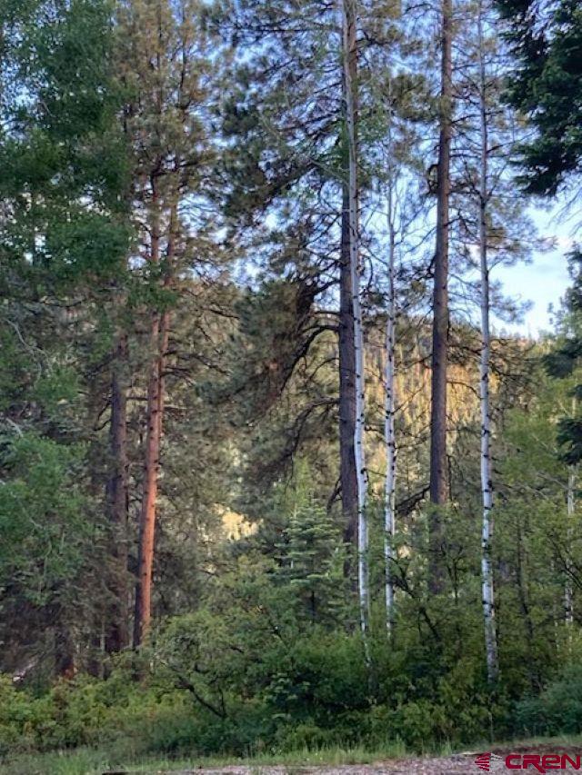 520 Los Ranchitos Drive Durango, CO 81301 - Photo 33 of 36