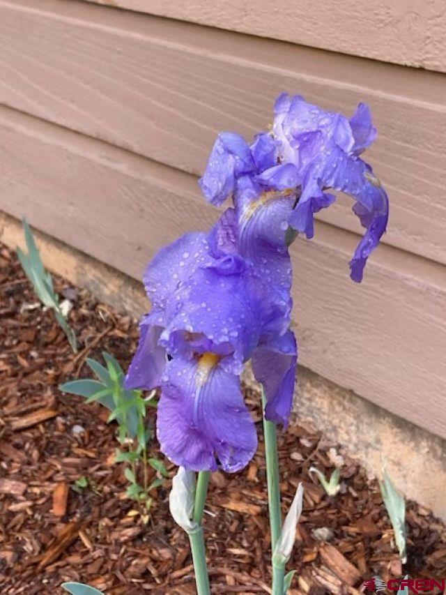 520 Los Ranchitos Drive Durango, CO 81301 - Photo 34 of 36