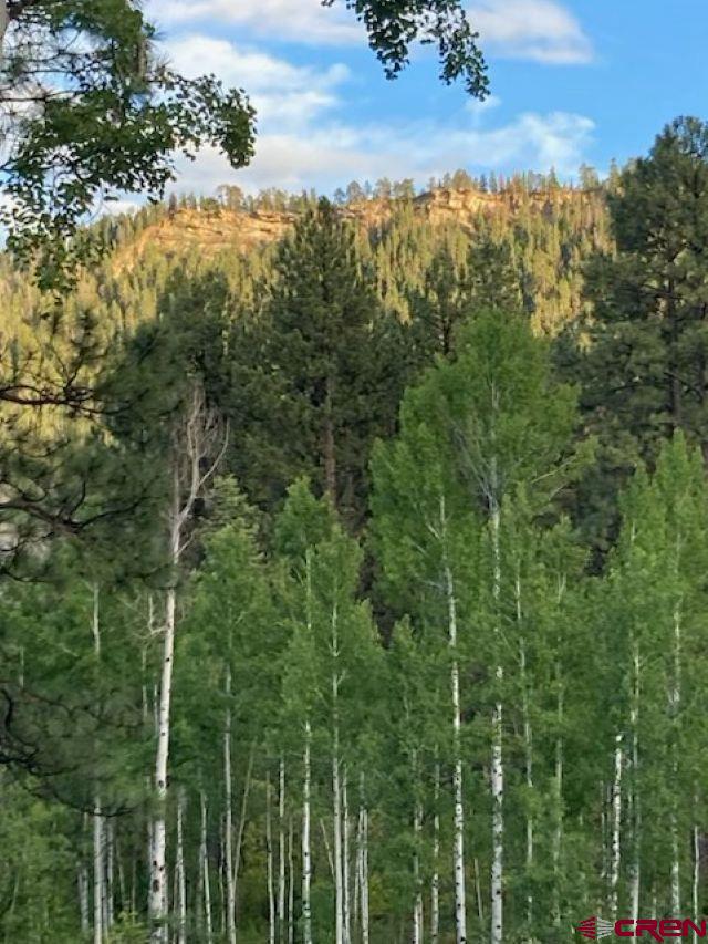 520 Los Ranchitos Drive Durango, CO 81301 - Photo 36 of 36 a view of a forest with a street