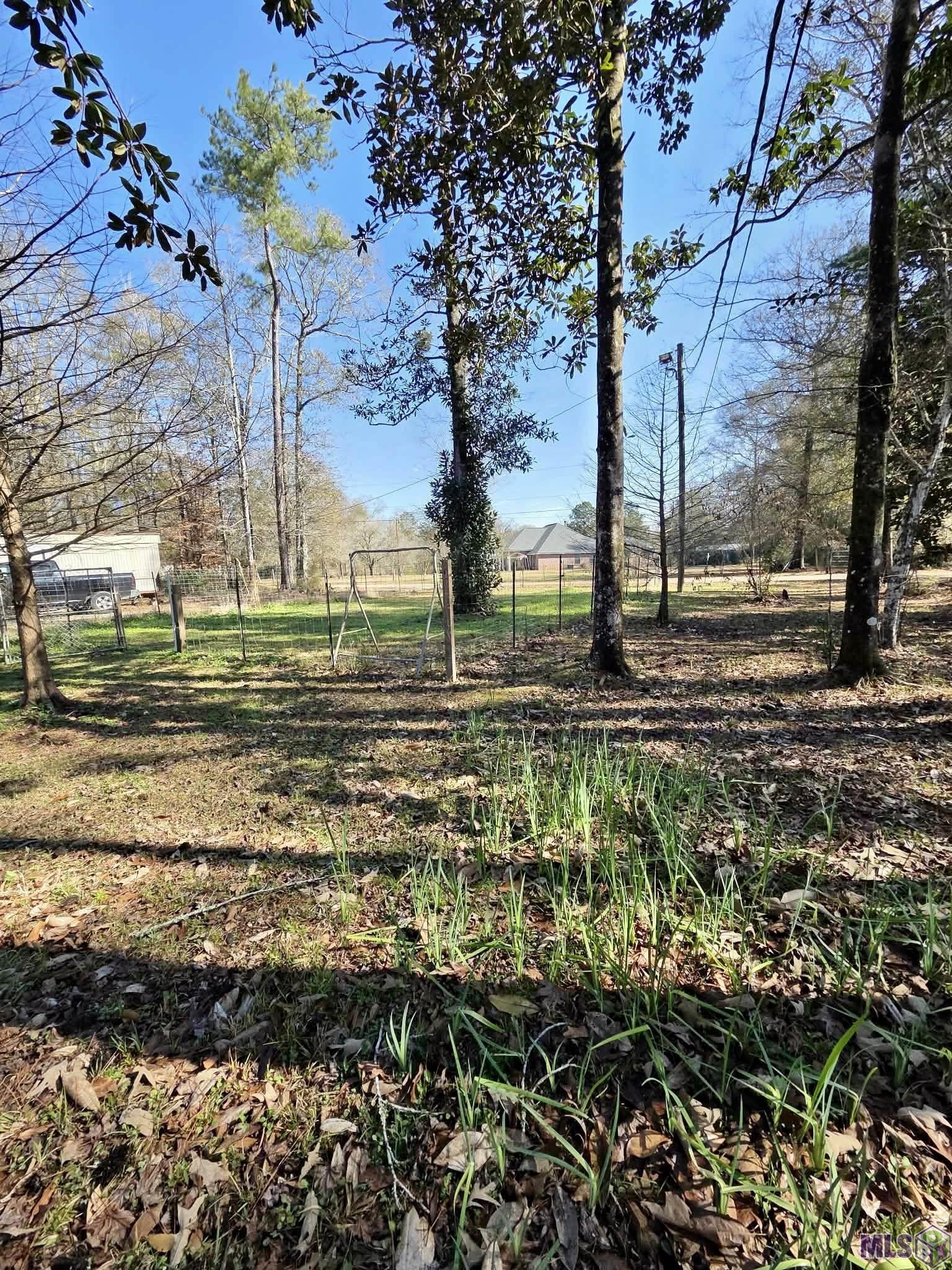 53069 Cason Road Independence, LA 70443 - Photo 3 of 5