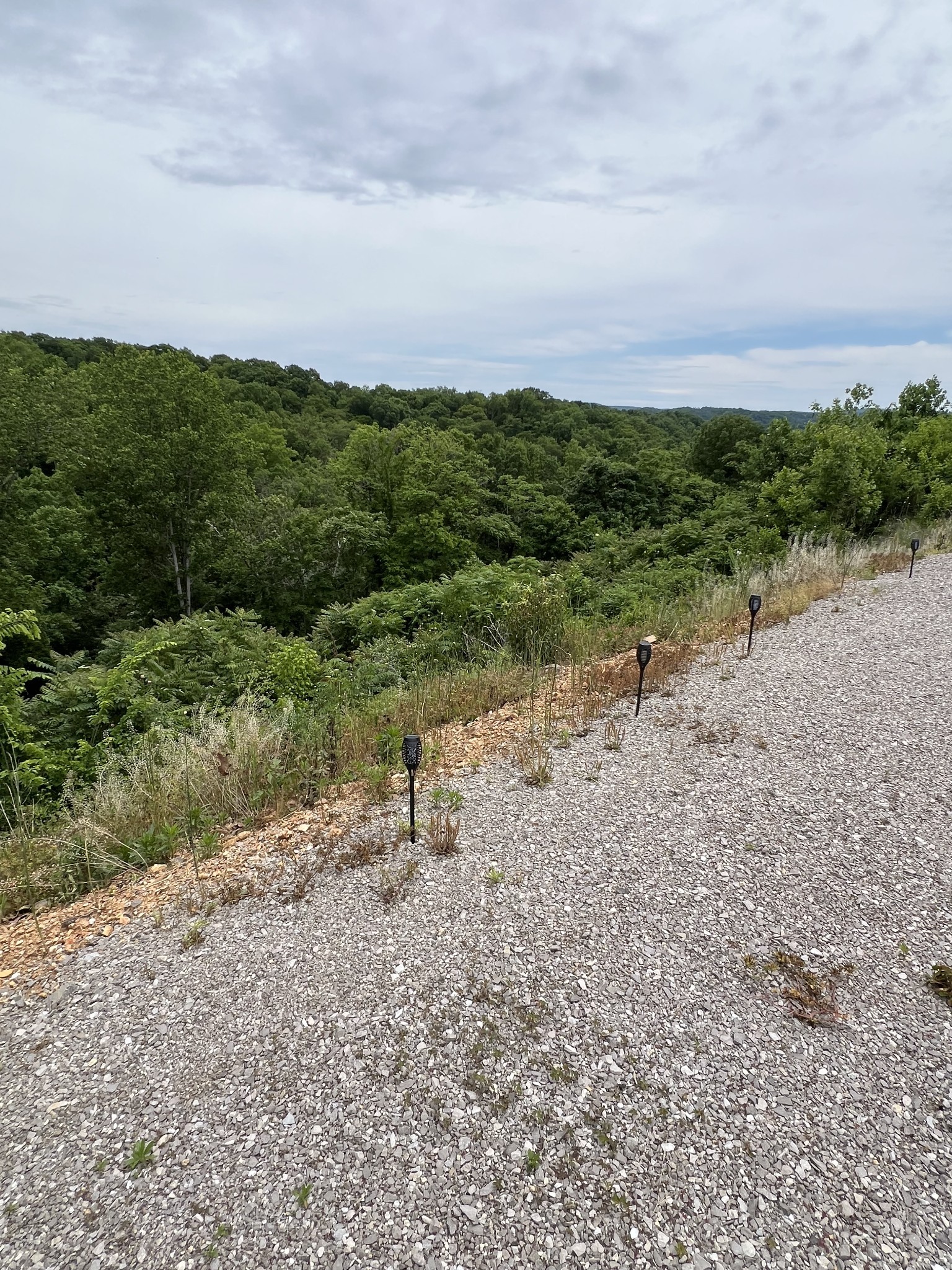 225 Bill Hunter Road Celina, TN 38551 - Photo 15 of 57 a view of a field with trees in background