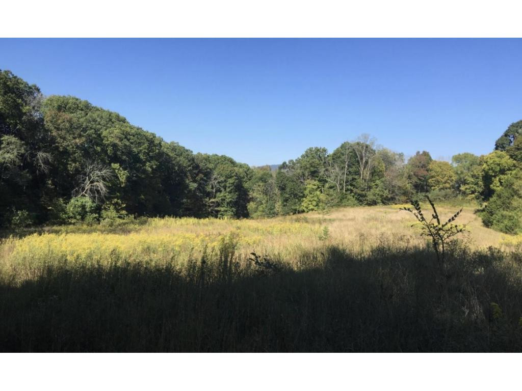104-acre Rocky Springs Road Bean Station, TN 37708 - Photo 1 of 5 Photo 1