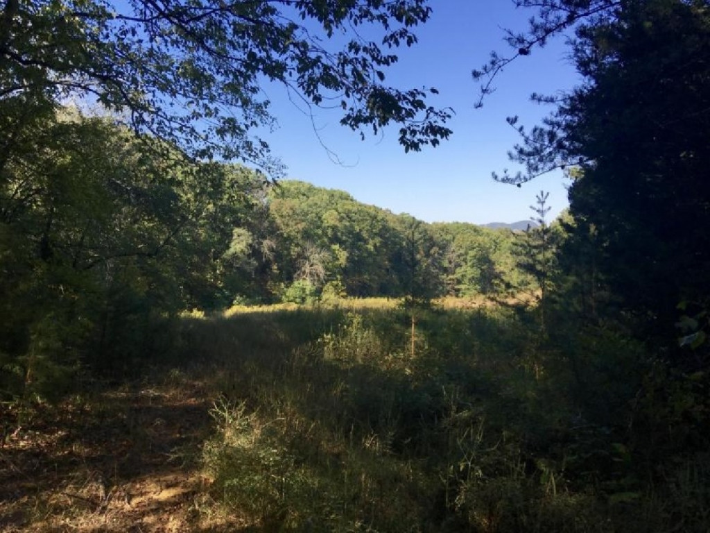 104-acre Rocky Springs Road Bean Station, TN 37708 - Photo 4 of 5 Photo 4