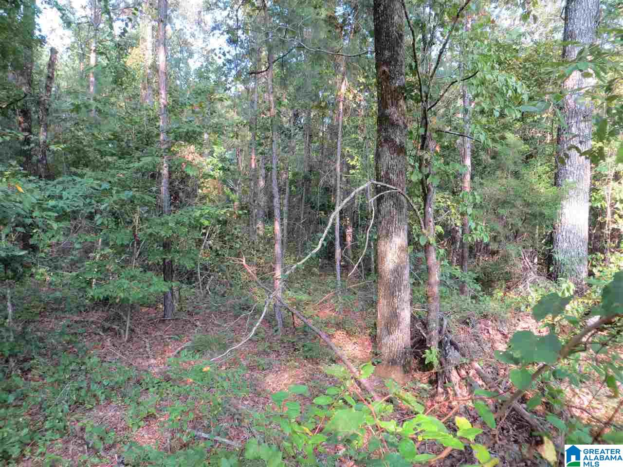 Eureka Road, Unit 1 Lincoln, AL 35096 - Photo 33 of 34